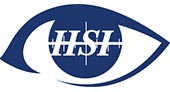 HSI Security logo