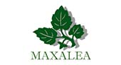 Maxalea logo