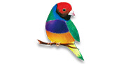 Finch Moving logo